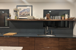 Mt. Lebanon Whole House Remodel