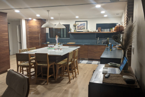 Mt. Lebanon Whole House Remodel