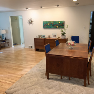 Mt. Lebanon Mid-Century Remodel