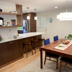 Mt. Lebanon Mid-Century Remodel