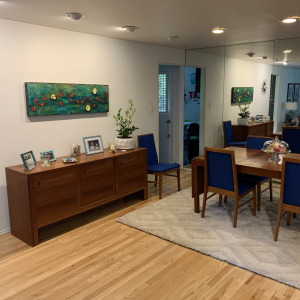 Mt. Lebanon Mid-Century Remodel