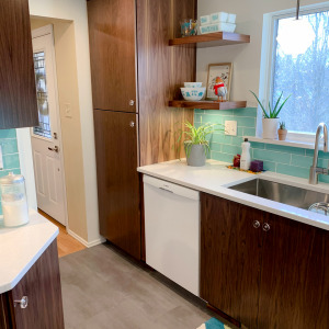 Mt. Lebanon Mid-Century Remodel