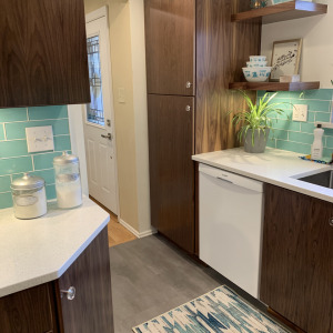 Mt. Lebanon Mid-Century Remodel