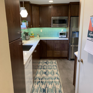 Mt. Lebanon Mid-Century Remodel