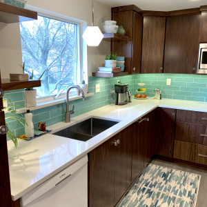 Mt. Lebanon Mid-Century Remodel