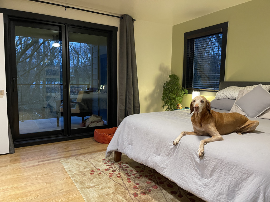 2nd Story addition in Allision Park built by Action Builders